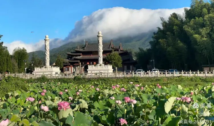 百丈山：山水禅韵里的浪漫行迹